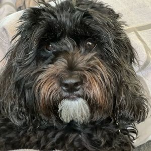 Meet your Posher, Roxolana